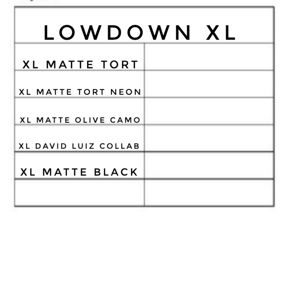 Nwt smith optics Lowdown XL styles